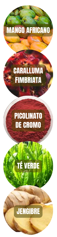 2logo y testim proleptin (11)